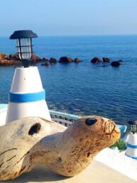 Sea Sound Villa â Sea Dog